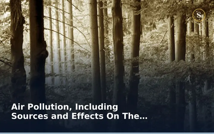 Air Pollution, Including Sources and Effects On The Environment:
