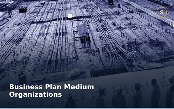 Business Plan Medium Organizations