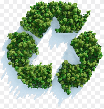 Introduction of Sustainability icon